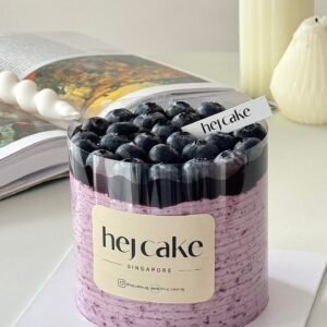 四寸蓝莓多多（适合1-2人）